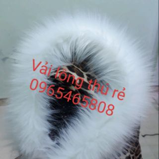 Viền mũ áo khoác