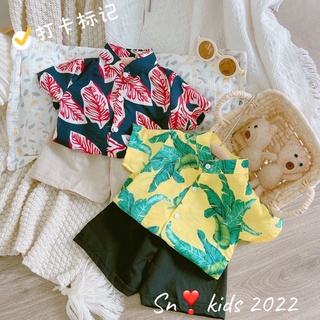 Bộ lá đi biển cho bé trai