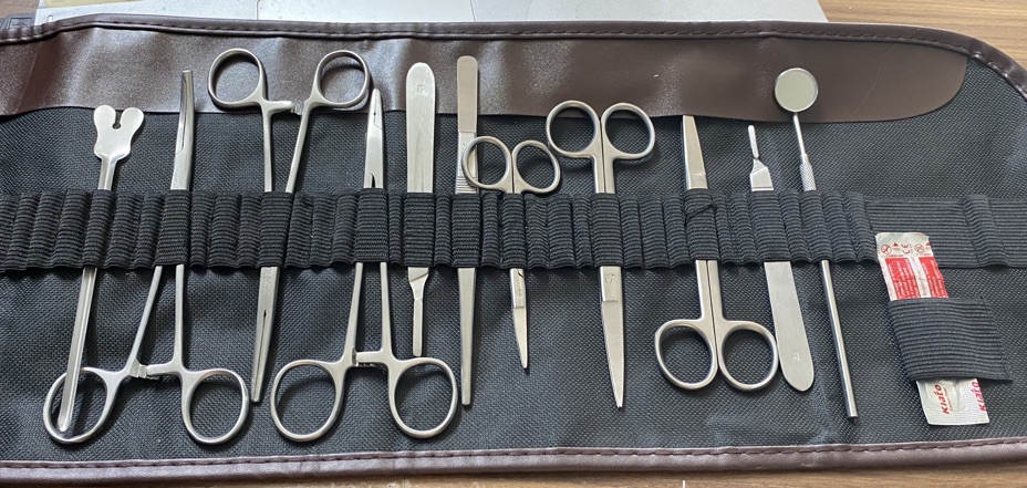 Bộ tiểu phẫu 11 món có bao