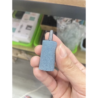 Quả sủi Oxy cho bể cá cảnh