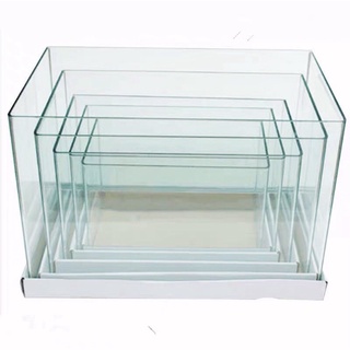 Hồ đúc uốn cong cạnh kính trong dùng làm bể cá tép, thuỷ sinh