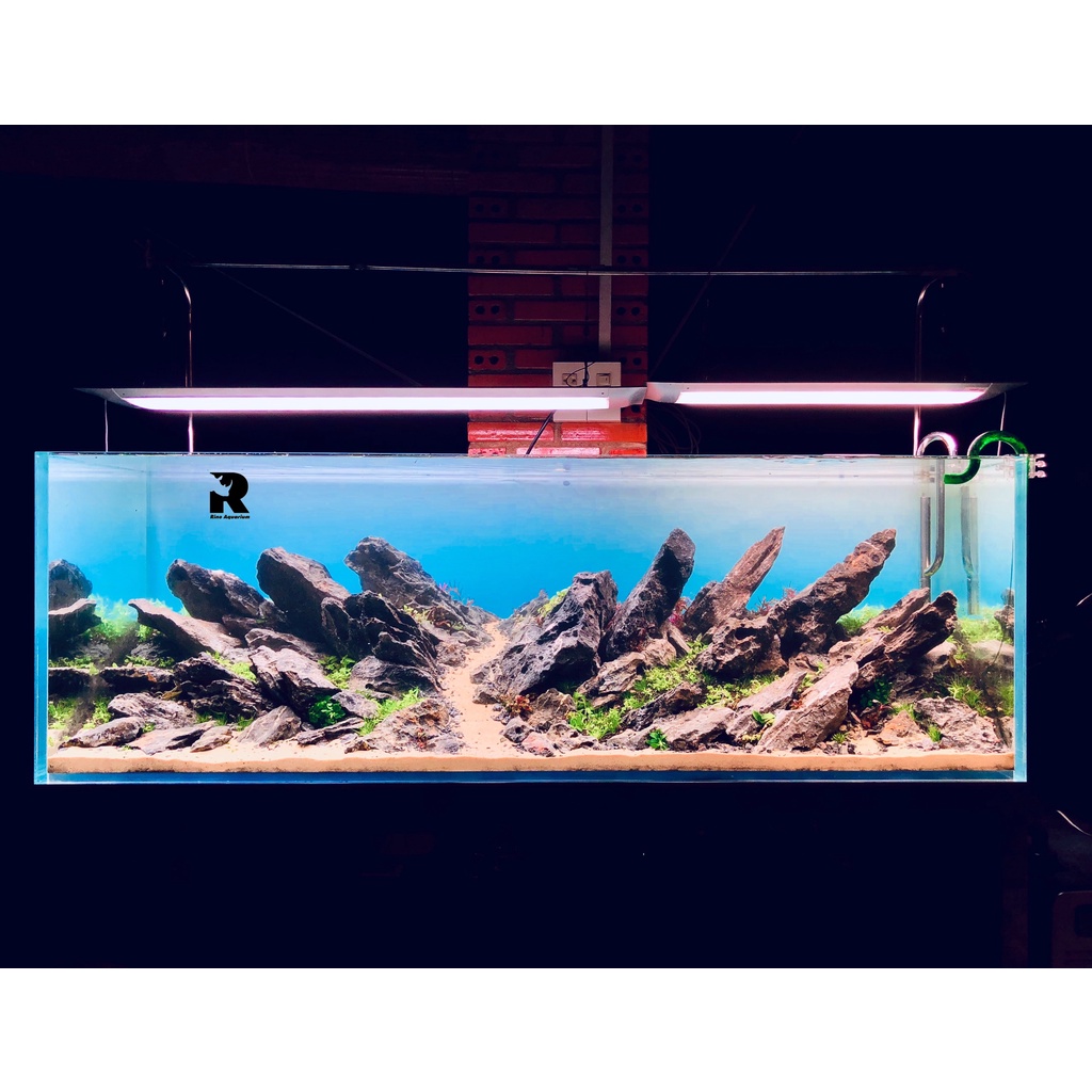 Tranh Decal Dán Bể Cá, Bể Thủy Sinh Màu Bầu Trời Phong Cách Open Sky ADA | Decal Blue Sky Dán Bể Cá Nhiều Kích Thước