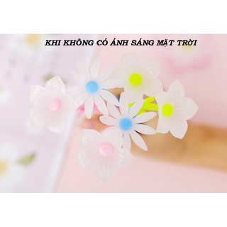 Bút Hoa Cúc Dại - Cát Cánh Đổi Màu