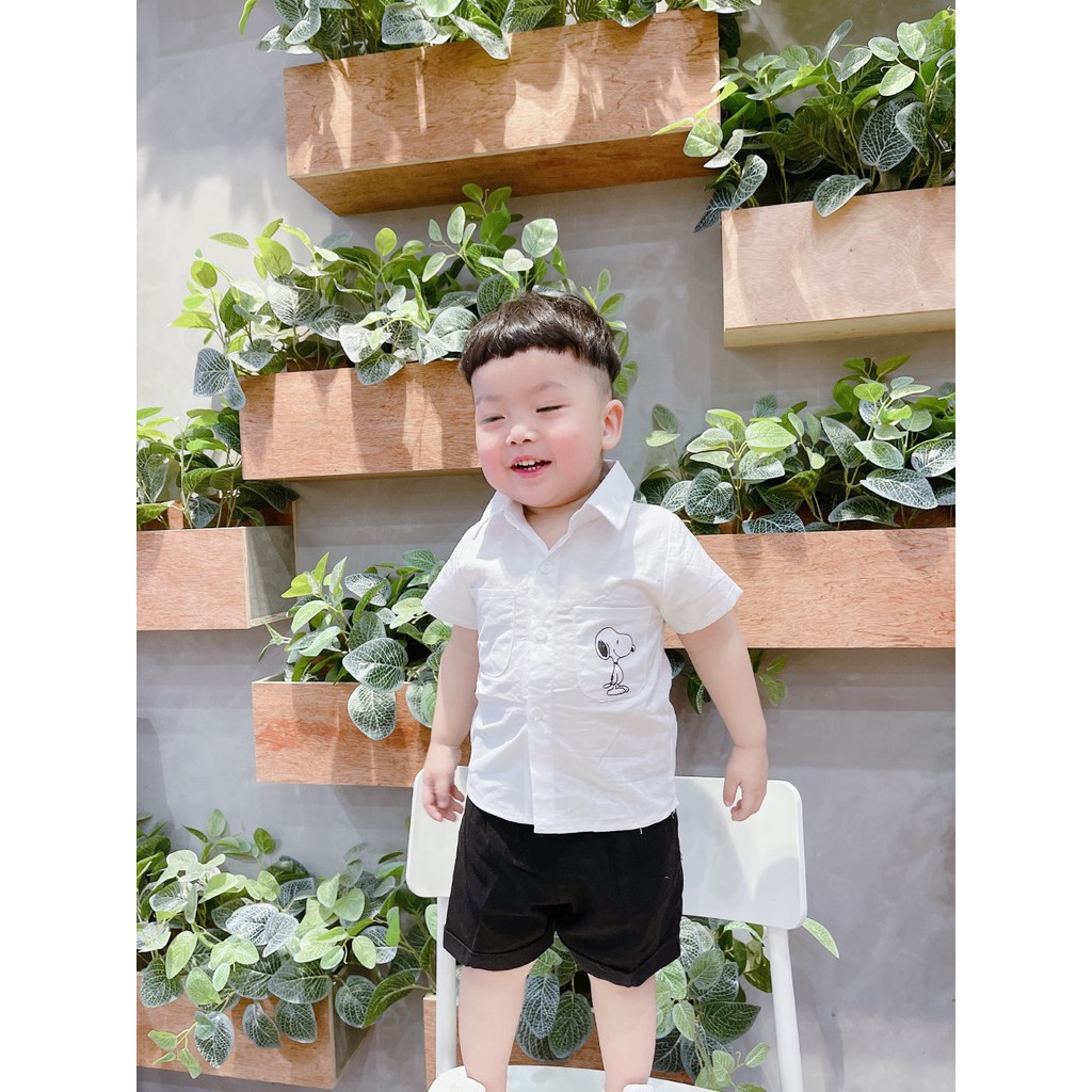 Set bộ quần áo bé trai áo sơ mi trắng snoppy quần ngố kaki co dãn tốt cho bé từ 7-18kg