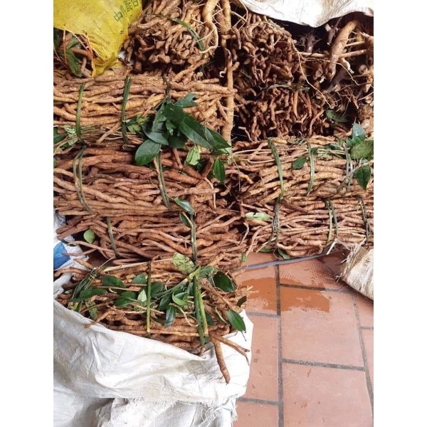 1kg Sâm xuyên đá Hà Giang