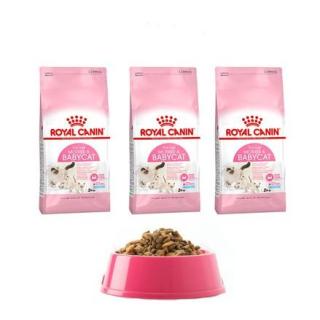 Hạt khô cho mèo mẹ và mèo con Royal Canin BabyCat 1kg - Thúc ăn cho mèo giá sỉ