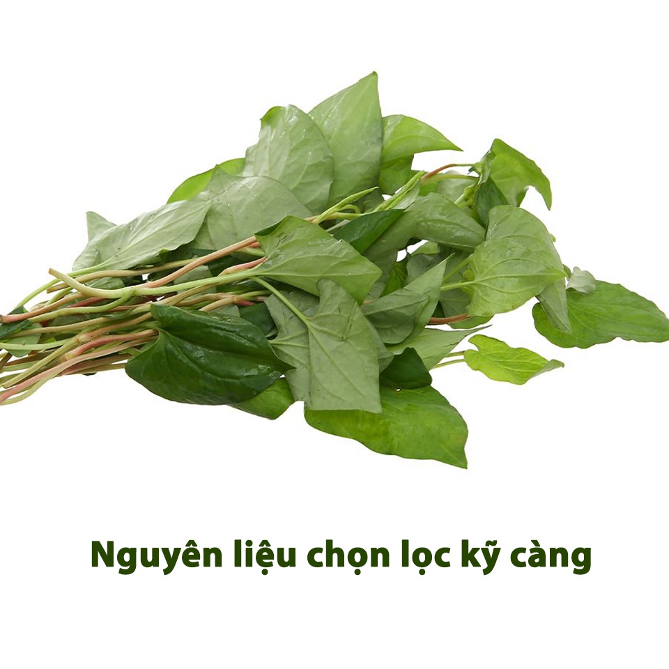 Bột diếp cá nguyên chất Tuệ Minh, bột rau diếp cá sấy lạnh sáng da ngừa mụn 50g