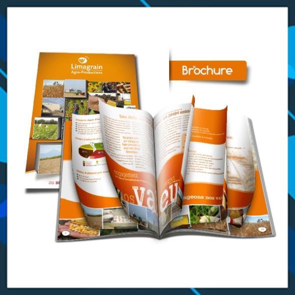 GIẤY IN MÀU COUCHE IN PHUN A3 ĐỊNH LƯỢNG 160GM MỜ( XẤP 50 TỜ)