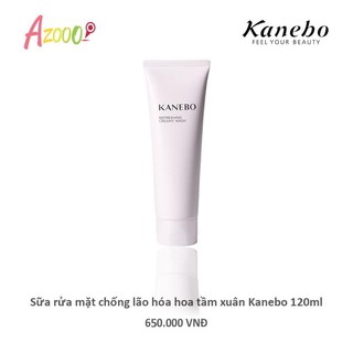 Sữa rửa mặt chống lão hoá, sáng da, hoa tầm xuân Kanebo cao cấp