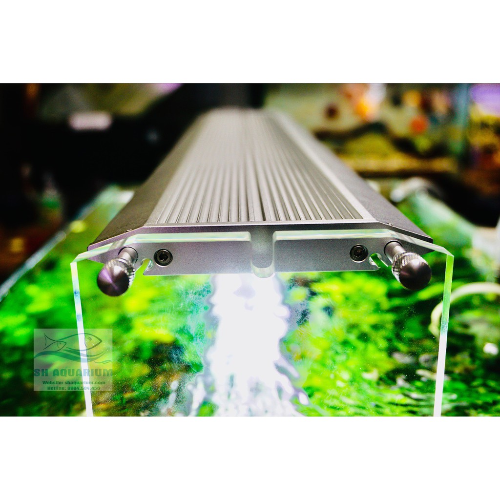 ĐÈN WEEK AQUA M900 PRO