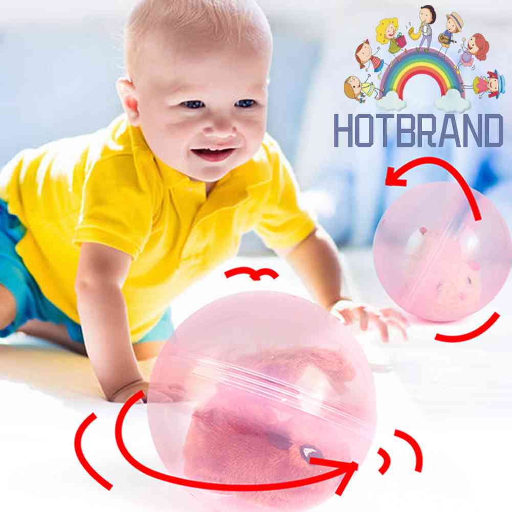 Bóng Tương Tác Huấn Luyện Thú Cưng