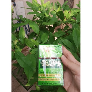 Dầu gió xanh singapore 24ml