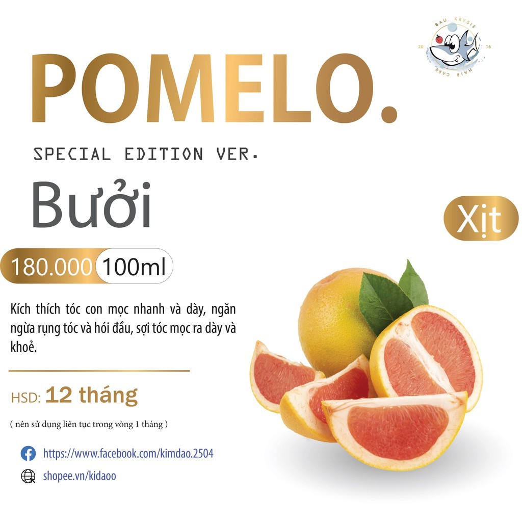 Pro POMELO Hair Mist - Xịt Bưởi Kích Mọc Tóc ×2 ( Handmade )