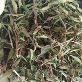 Lá trà rừng Lai Châu (lá chè thơm xao khô)