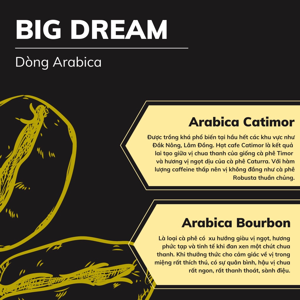Cà phê rang xay ARABICA CATIMOR 250g cafe nguyên chất hương vị chua thanh đắng nhẹ tinh tế cafe Việt - Big Dream Coffee | BigBuy360 - bigbuy360.vn