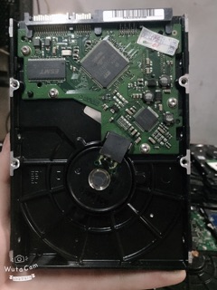Ổ cứng HDD PC seagate, western, samsung 500gb