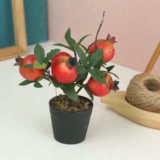 Lọ hoa trang trí sắc màu h82