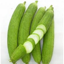 Hạt Giống Mướp Hương Siêu Trái F1(Gói 15 hạt)Dễ Trồng &amp;Năng Suất Cao-Tổng kho hạt giống giá rẻ