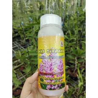 Ku start b1 kích rễ, kích chồi