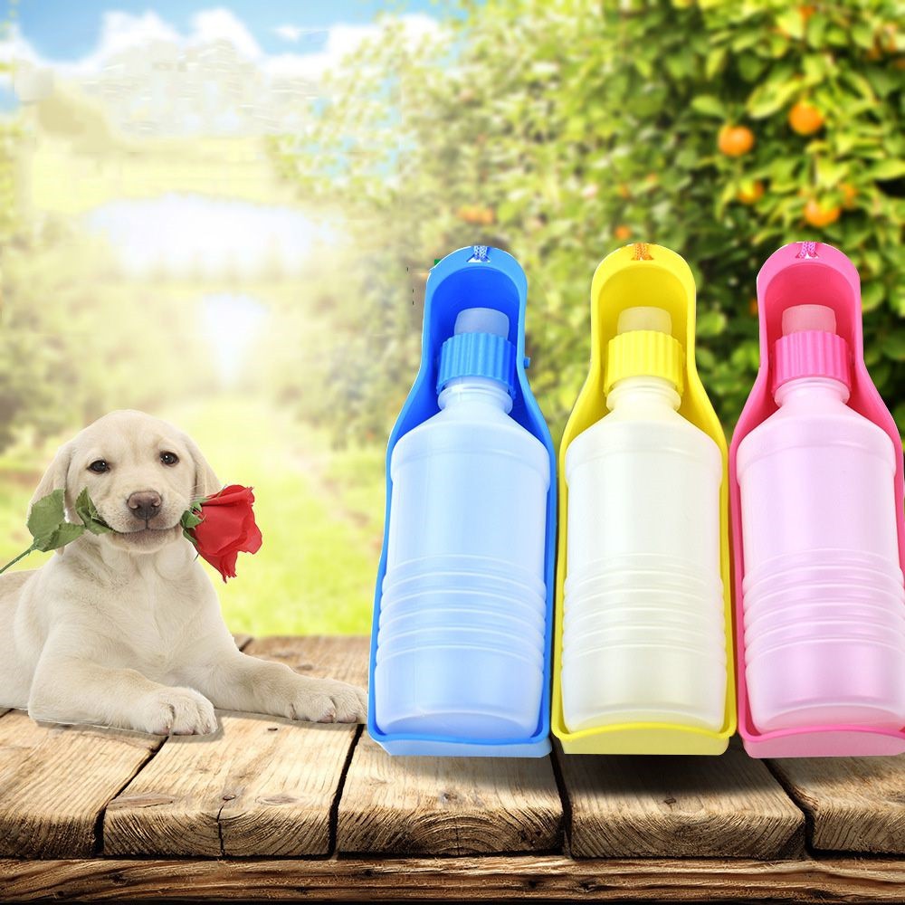 Bình nước du lịch cho chó mèo thú cưng 500ml