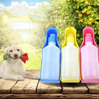 Bình nước du lịch cho chó mèo thú cưng 500ml