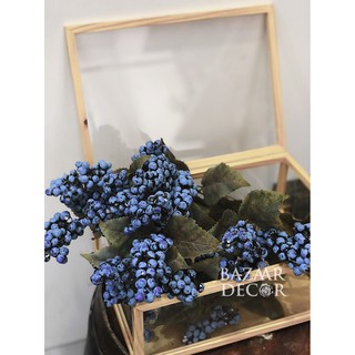 Cành quả việt quất Blueberry 65cm