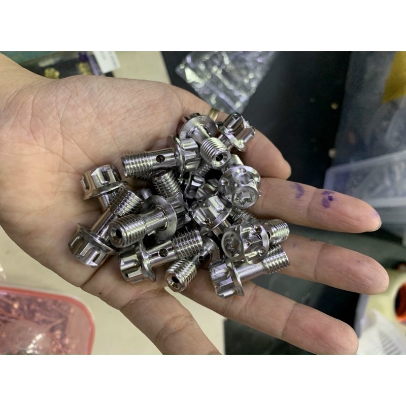 Óc heo dầu salaza inox 304