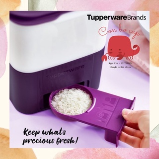 Thùng Gạo Tupperware Rice Smart Junior 5kg