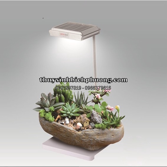 BỘ ĐÈN LED TIỂU CẢNH XINMA CÓ SẴN ĐẾ - ĐÈN XIMA SANG TRỌNG THẨM MỸ CHO HỒ CÁ THỦY SINH