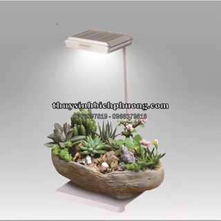 BỘ ĐÈN LED TIỂU CẢNH XINMA CÓ SẴN ĐẾ SANG TRỌNG THẨM MỸ - ĐÈN XIMA BÁN CẠN/ THỦY SINH