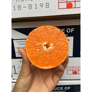 1kg Quýt Úc 2PH