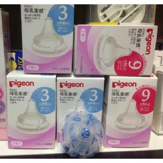 Núm Ty Pigeon cổ rộng Nội Địa