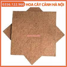 bộ 2 Thảm xơ dừa, giá thể giữ ẩm cho cây trồng (kt:50*50cm)