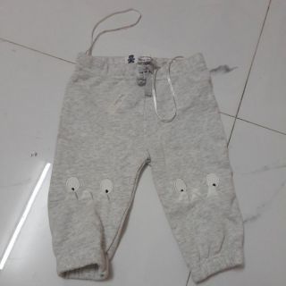 Đơn mẹ đỗ quyên và trang trương