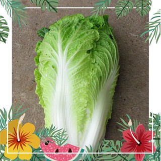 Hạt giống cải thảo f1 -30 hạt f1