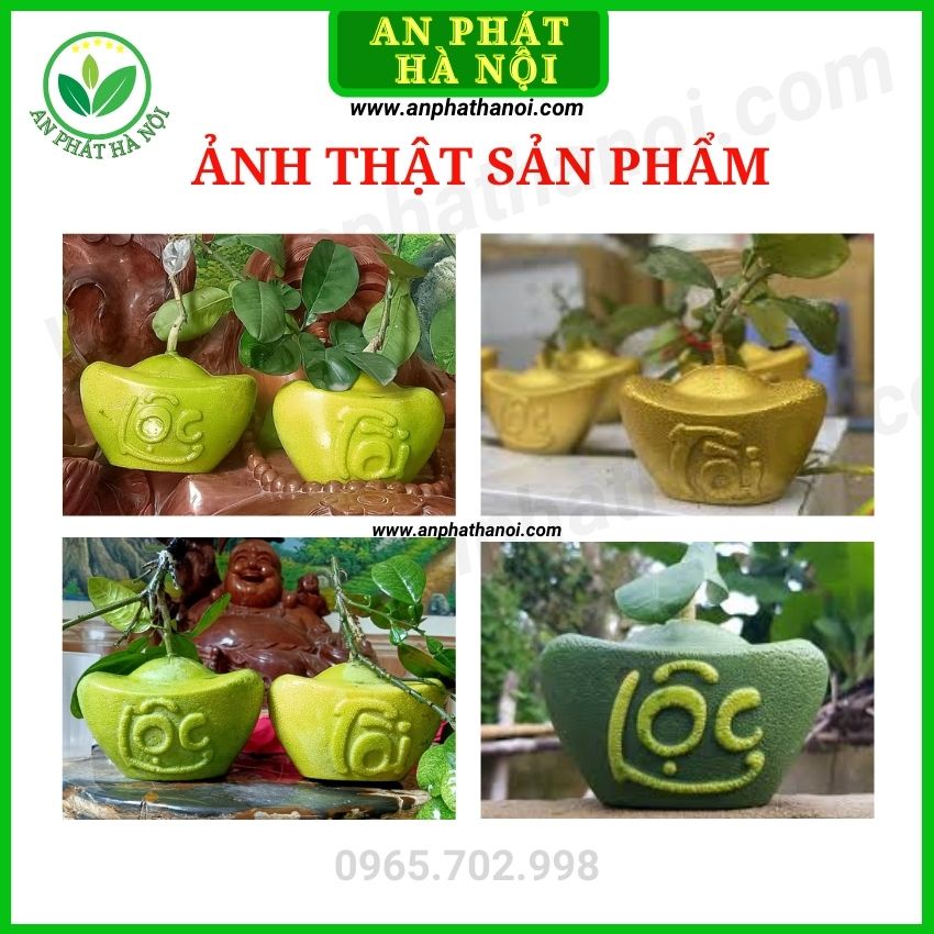 Khuôn thỏi vàng cỡ đại số 4 - khuôn dành cho bưởi da xanh - bưởi 2kg trở lên,dày 5 li to đẹp