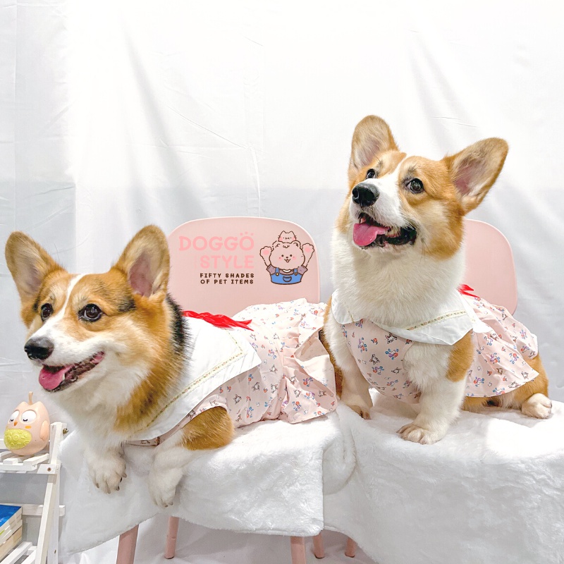 Áo Váy Thun Ba Lỗ DoggoStyle Vải Cotton Co Giãn Mùa Hè Cho Chó Lớn Size Bự Corgi Bull Pháp Pug Mặt Xệ Lạp Xưởng