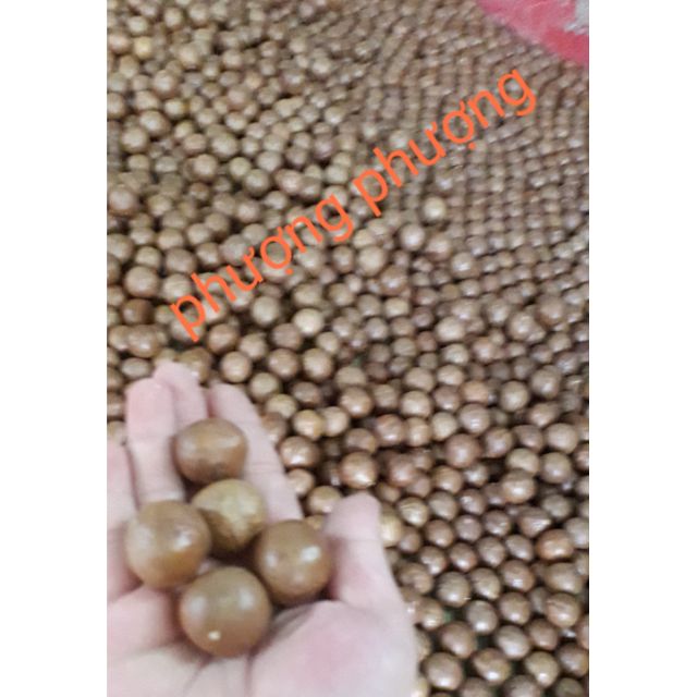 Hạt macca sấy