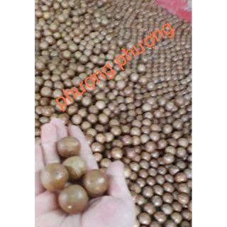 Hạt macca sấy