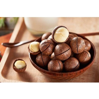 500g Hạt Macca Daklak sấy nứt vỏ - tặng kèm khui hạt