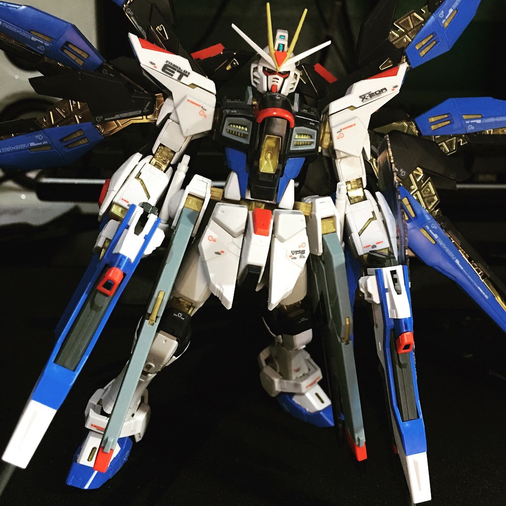 Mô hình Gundam RG ZGMF-X20A Strike Freedom Gundam Bandai 4573102616173