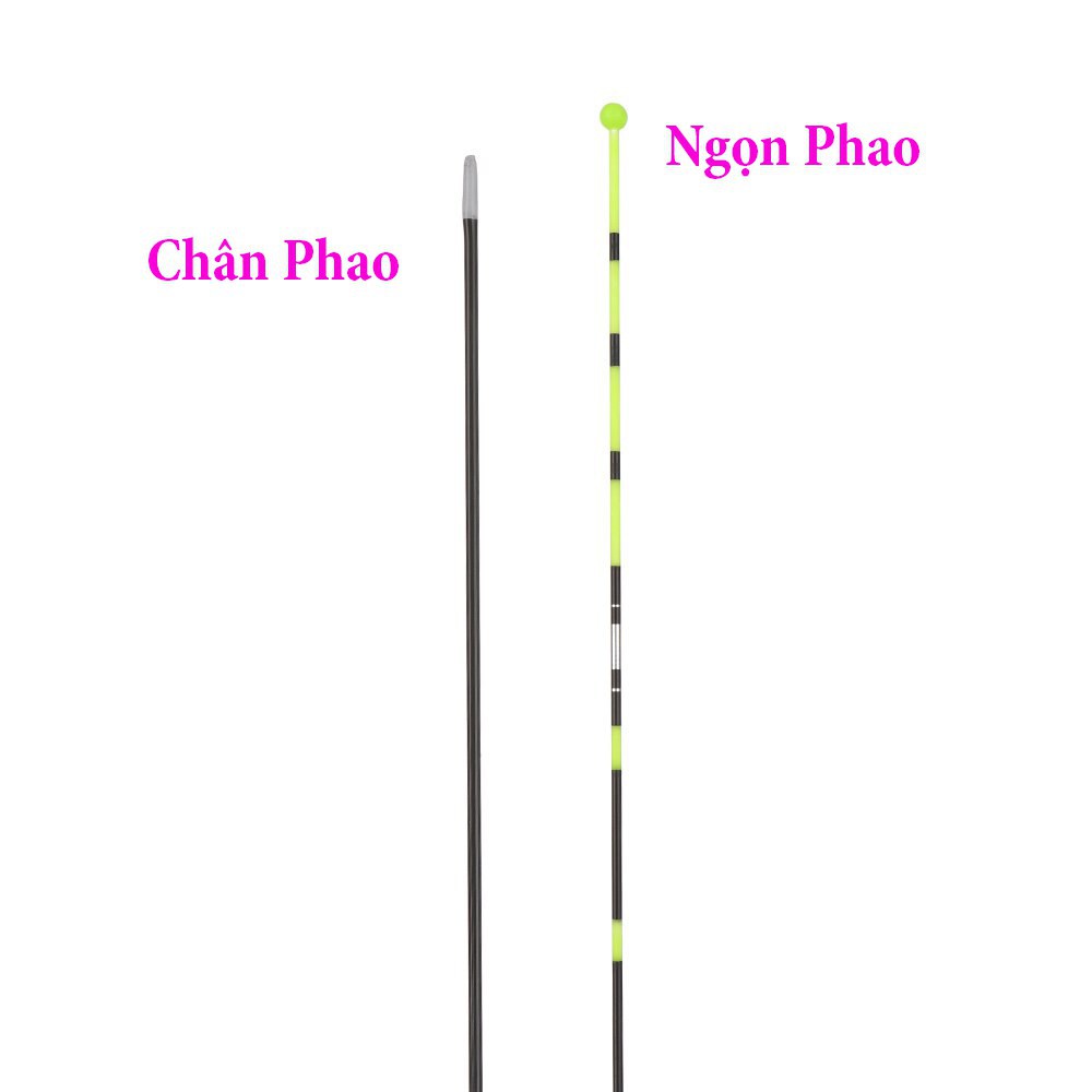 Phao Câu Đài Thông Minh BINGYING nano câu đêm cảm ứng đổi màu Cao Cấp