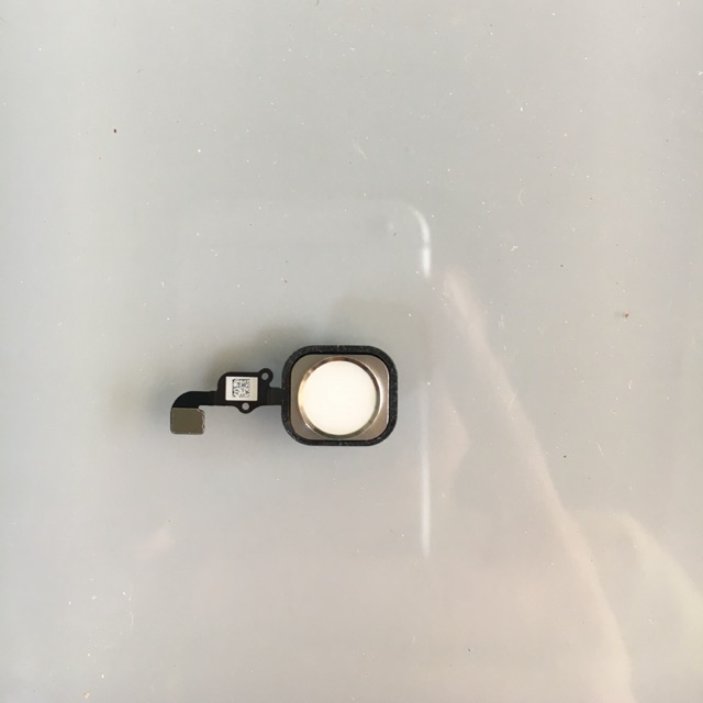 phím home iphone 6g