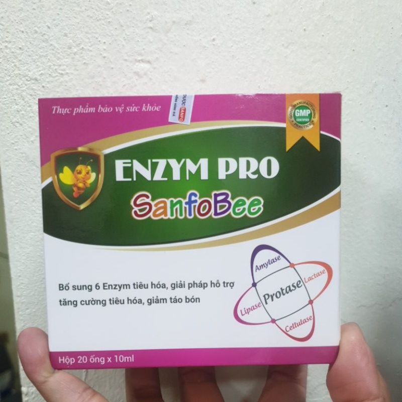 Enzym Pro Sanfobee - Bổ sung enzym tiêu hóa, giúp ăn ngon, tăng hấp thu
