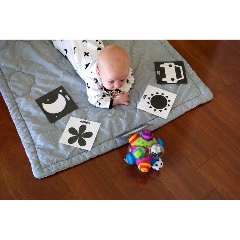 Bộ thẻ Flashcard Đen Trắng kích thích thị giác cho bé 0-6 tháng tuổi