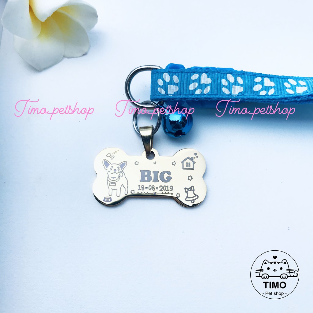 Bảng tên chó mèo, thú cưng inox + Vòng cổ 2 lớp (Tặng kèm chuông)
