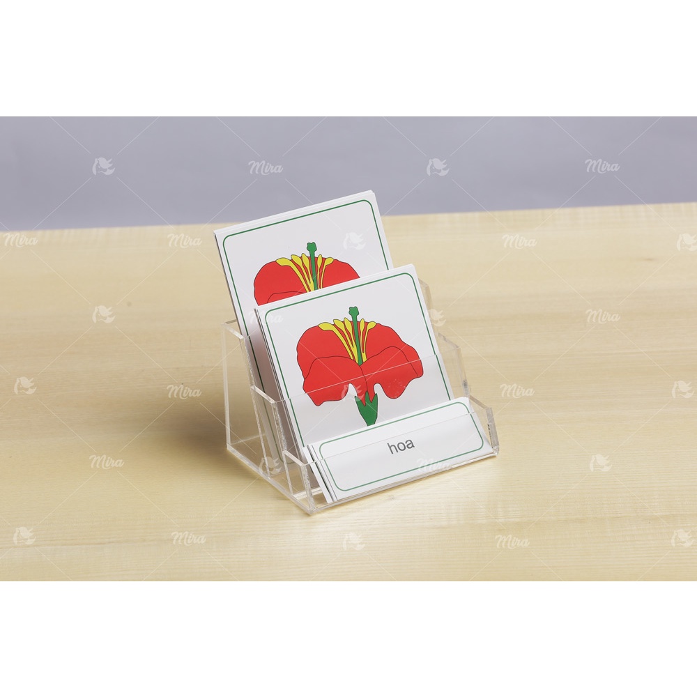 Giá mica để thẻ 3 phần - Giáo cụ Đồ dùng Montessori - Mira Toys