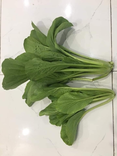Hạt giống cải ngọt khổng lồ Thái lan