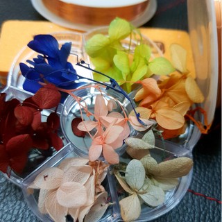 Hoa khô lụa cánh to trang chí móng nail
