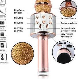 Micro Bluetooth Jfyz Wster Ws 858 + Loa Ws858 Karoke